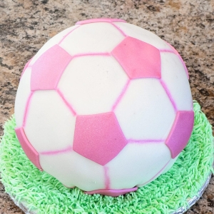 Pink Soccer Ball cake!