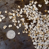 Mini Caramel Popcorn Ball pops