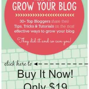 How to Grow Your Blog eBook
