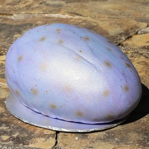 Dinosaur egg Cake