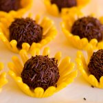 sunflower chocolate truffles