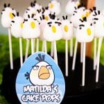 angry bird matilda cake pops
