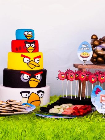 angry bird party