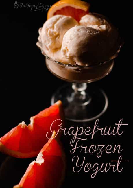 frozen-yogurt-recipe