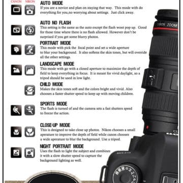 Photography 101 – Auto Mode