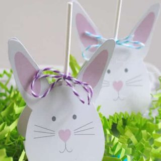 Printable Easter Bunny Lollipop Covers