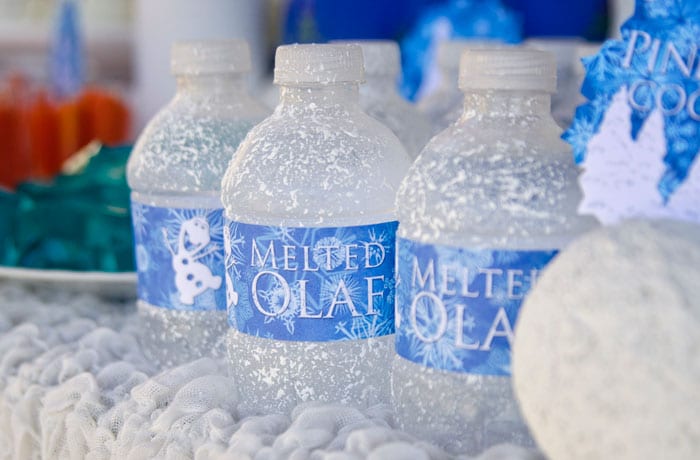 Frozen-water-bottles-melted-olaf