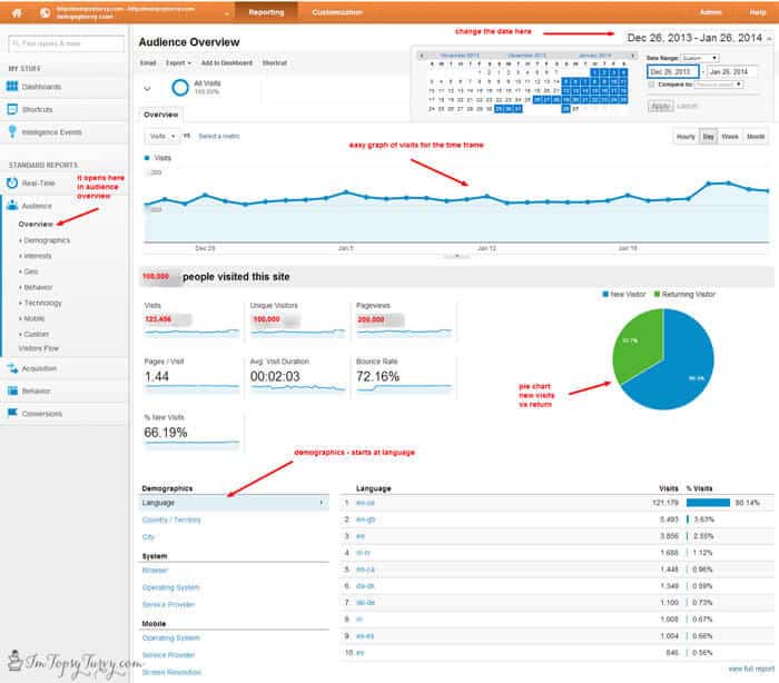 Google-Analytics-audience-overview