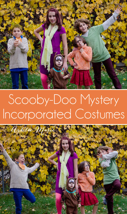 scooby doo and mystery incorporated family halloween costumes