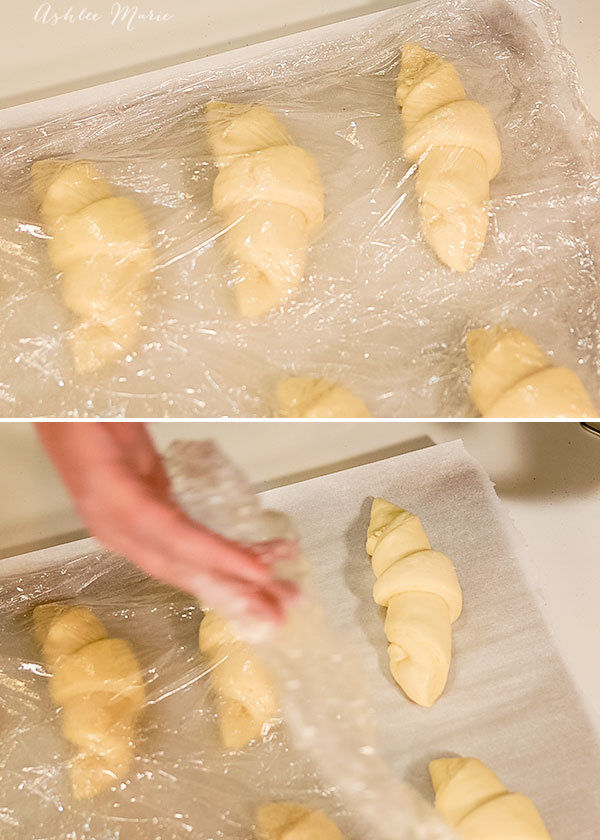 let dough rise under plastic sprayed with non stick spray