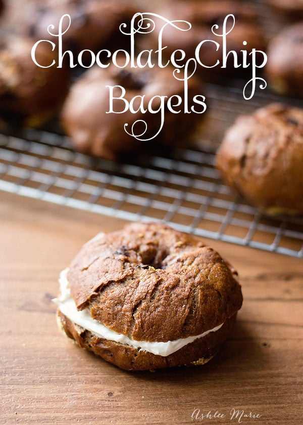 chocolate chip bagels are slightly sweet delicious lunch