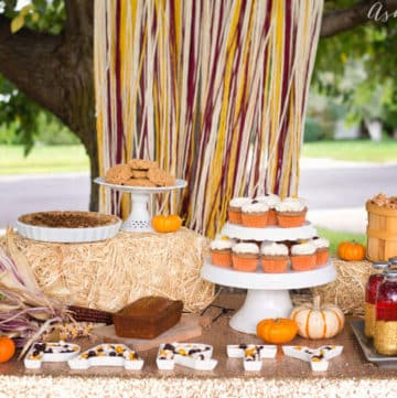 Fall Harvest Party