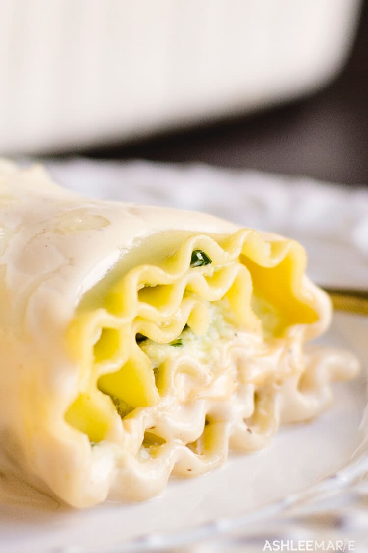 cheesy chicken alfredo lasagna roll-ups