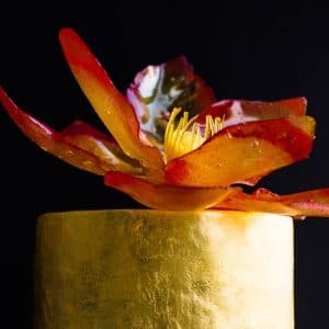 Isomalt Lotus – Man’s Fiery Red Flower – Jungle Book