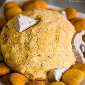 Jakku S’more cheese ball