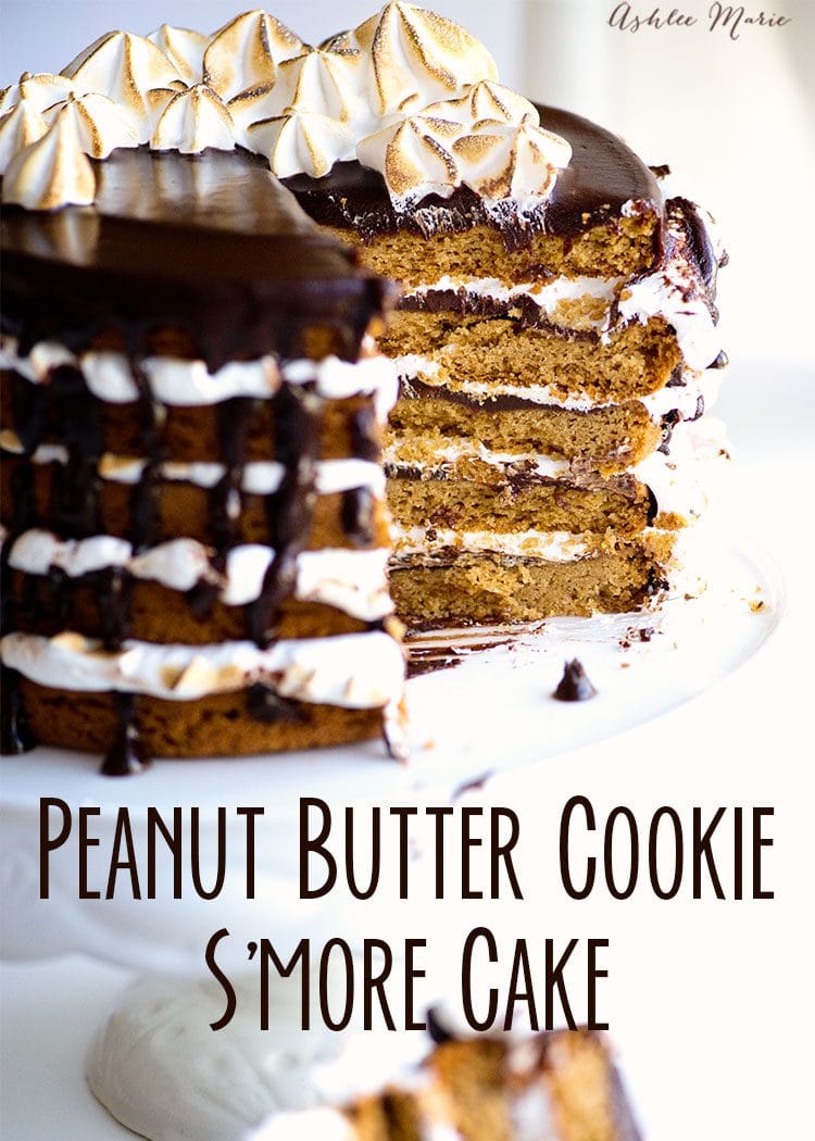 peanut butter cookie smore cake