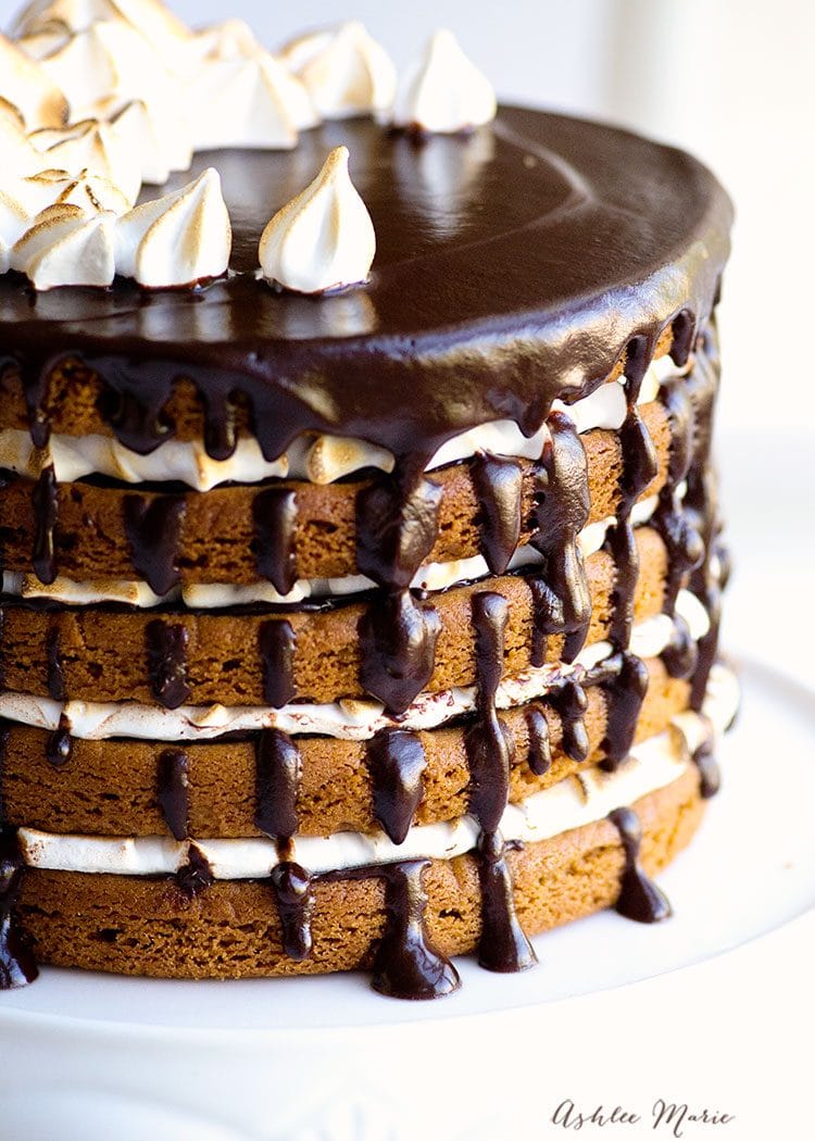 peanut butter smore cake recipe