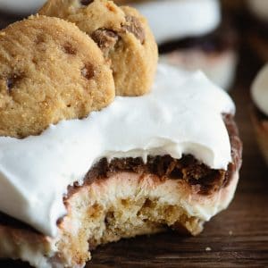 Mini Chocolate Caramel Shortbread Dessert Lasagnas with recipe video