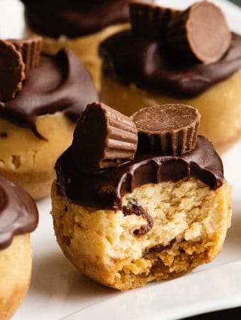 instant pot peanut butter cup cheesecake bites