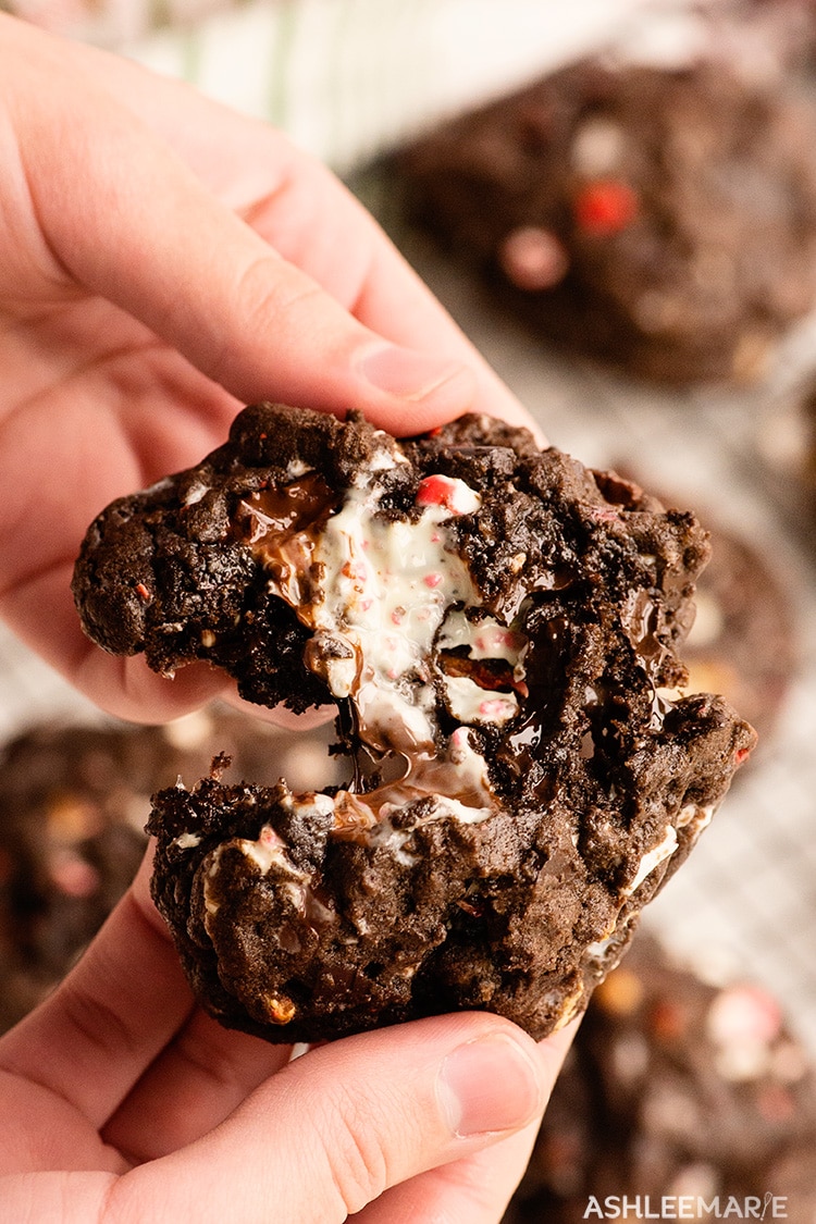 big fat double chocolate peppermint chunk cookie recipe