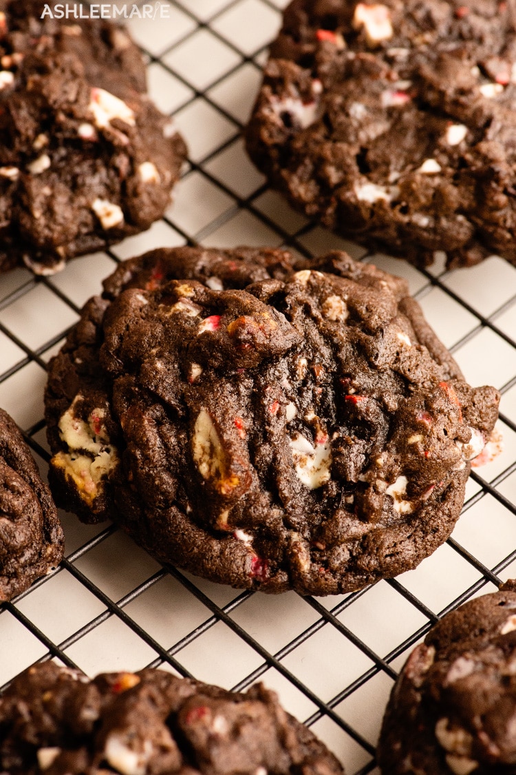 double chocolate chip peppermint cookies